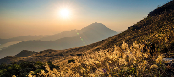 CFA Society Hong Kong:Lantau Peak Hiking