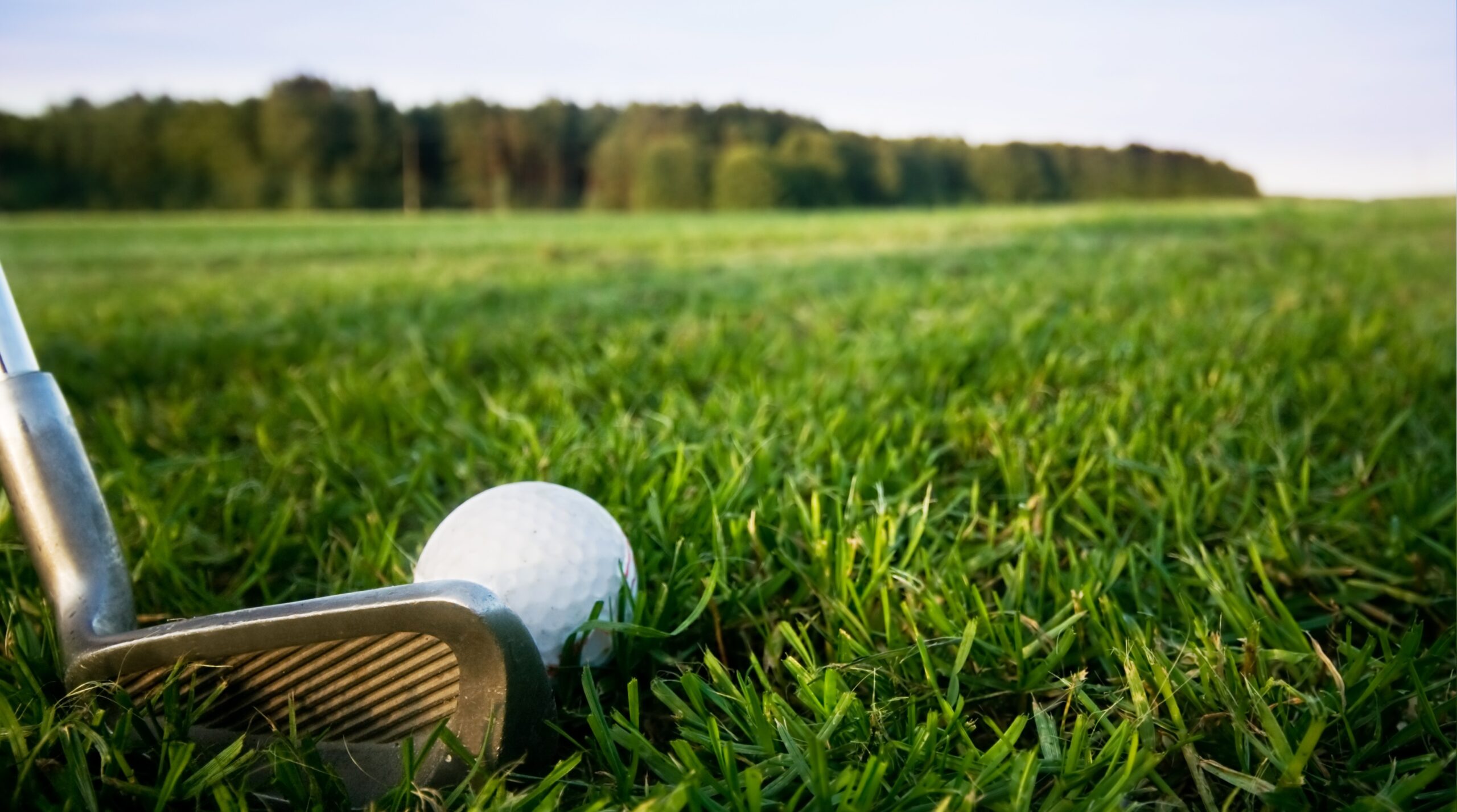 Golf Fun Day 2024